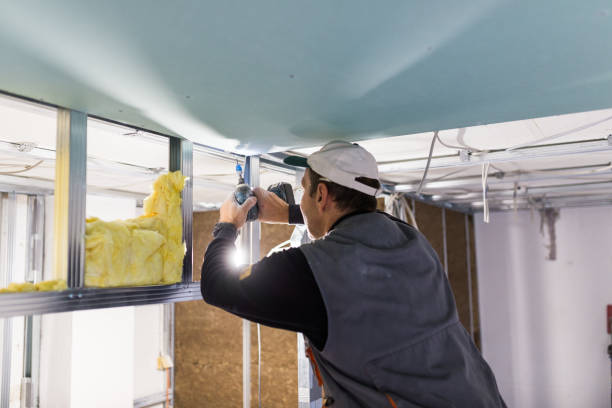Best Insulation Installation Services in Sealy, TX